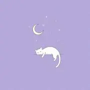ささきの画像