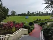 テツアンコの画像