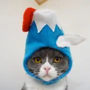 アッサムの画像