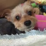 Mikiの画像