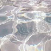 a.の画像