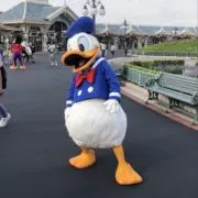 t.t