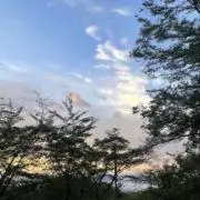 千の画像