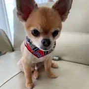 AriZONO