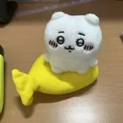 さーにゃんの画像