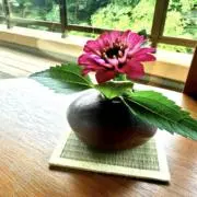 おりっぱの画像
