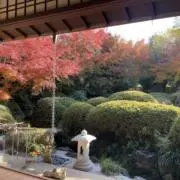 ヨヨヨの画像