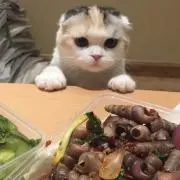 ミロス