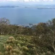 ウェイブマミィーの画像