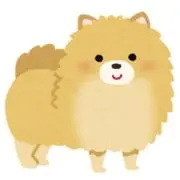 ぽんたの画像