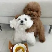 断捨離中です！の画像