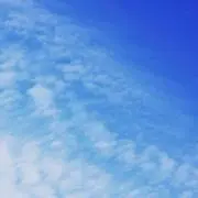 rtms1724の画像