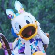 しおりの画像