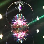 はちの画像