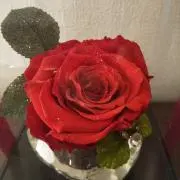 金夜-日曜昼頃まで開店 せんちょうの画像