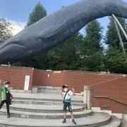 イチローの画像