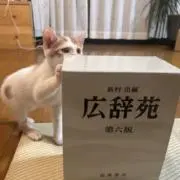ちゃくの画像