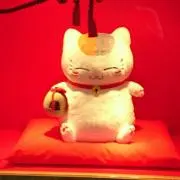 kiyo★の画像