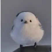 s.o