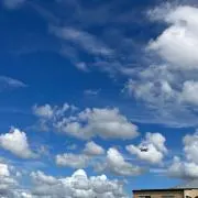 みな