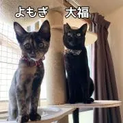 ぷくもぎママ♡