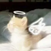 Ruru