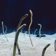 暮/断捨離中の画像