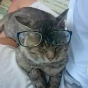 エイターレッド