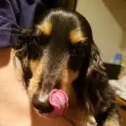 すぱーずぅの画像
