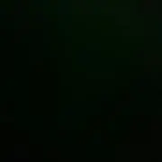 ふゆき