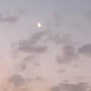 な