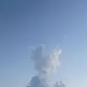 麦の画像