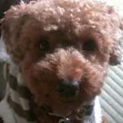 juju.loveの画像