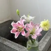 月の画像