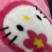 山崎賢人の嫁の画像