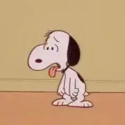Rの画像