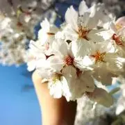 なの画像