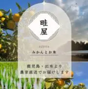 畦屋（あぜ屋）柑橘農園の画像