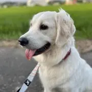 KE