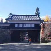 Daysの画像