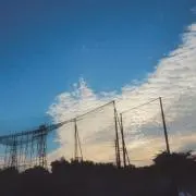 Celeryの画像