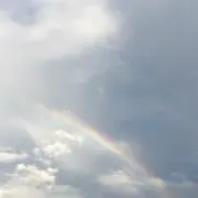 ぱるる※プロフ確認お願いします。の画像