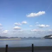 レオの画像