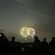 T Gomezの画像