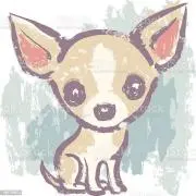 アジョディン☆*:.。　同梱割可の画像