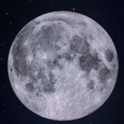 joaoの画像