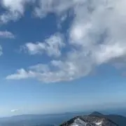 たか