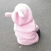 みわ