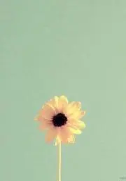 nsyk⭐︎の画像