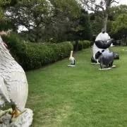 ゆりねの画像